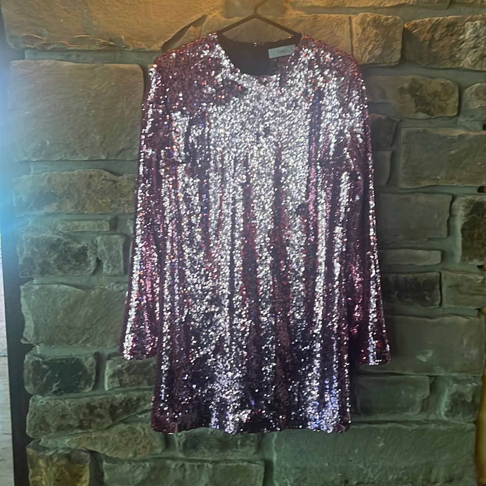 Racil pink sequence dress